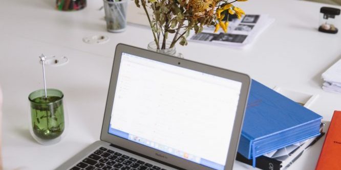 pexels-polina-zimmerman-3747447